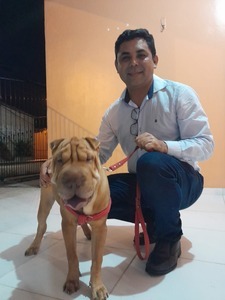 Jeferson Willams Alves Da Silva 